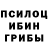 Псилоцибиновые грибы прущие грибы Masha Cherkay