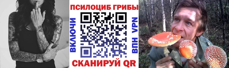 что такое   Норильск  blacksprut   Псилоцибиновые грибы Psilocybine cubensis 