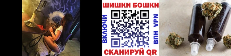 Бошки марихуана конопля  купить закладку  Норильск 